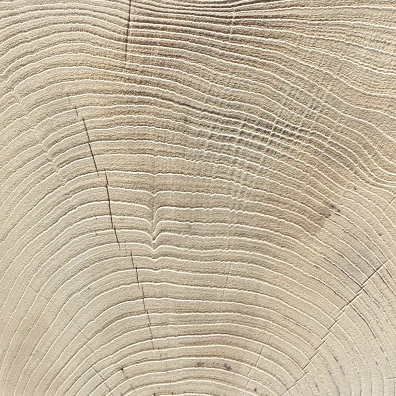 Effetto Legno