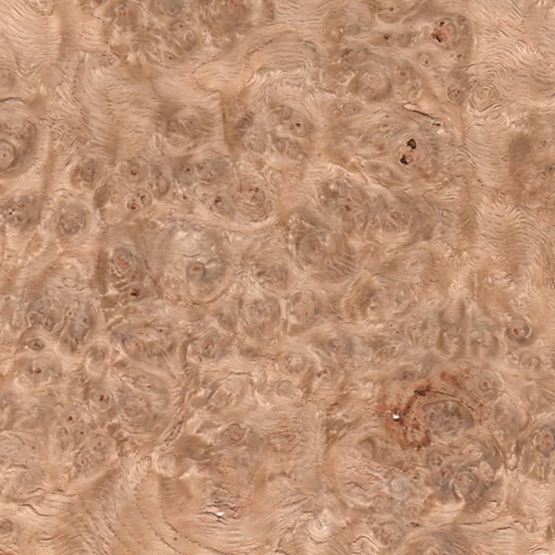 Radica Rovere