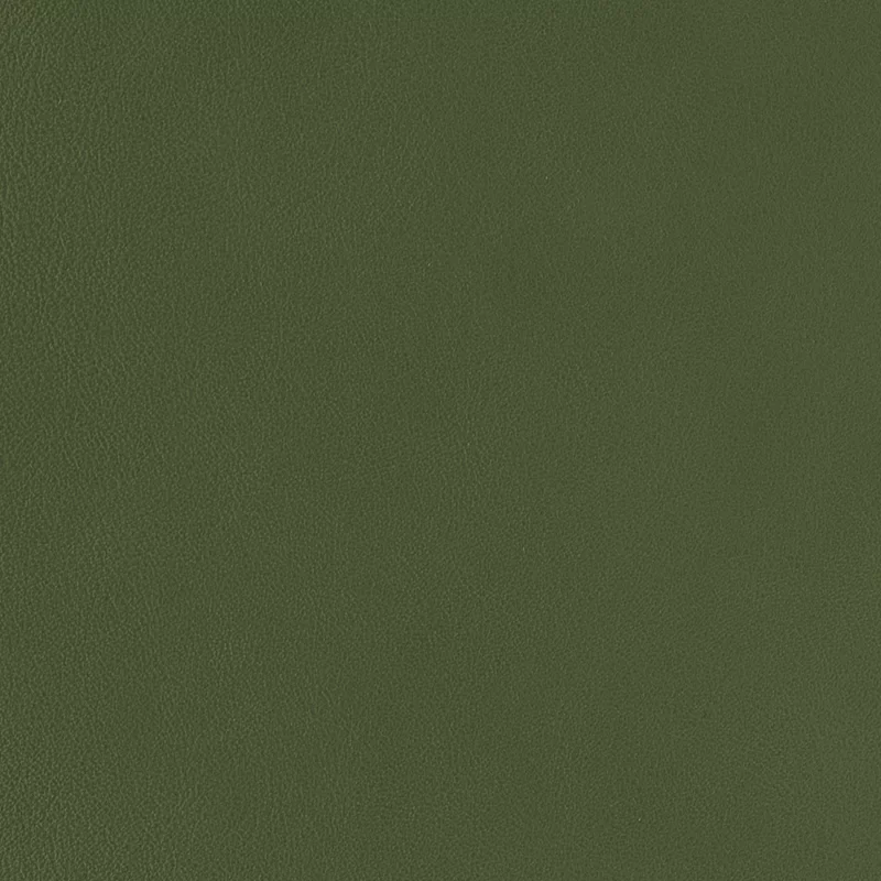 Astro Evergreen