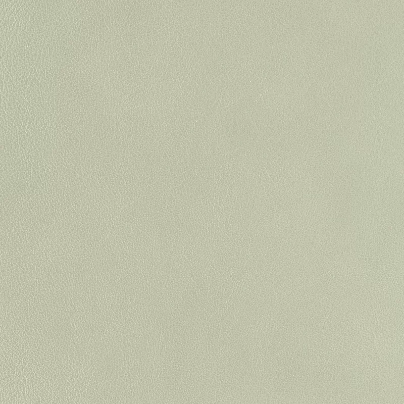 Astro Ivory